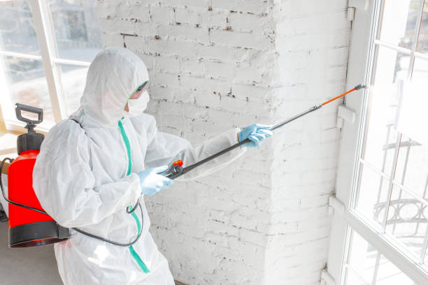 Mold Remediation for Rental Properties in Kenton, OH